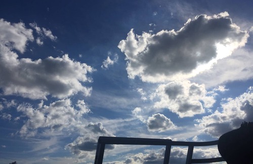 Ortonville Copropriété | Lakefront Condo à Ortonville sur le magnifique lac Bald Eagle.