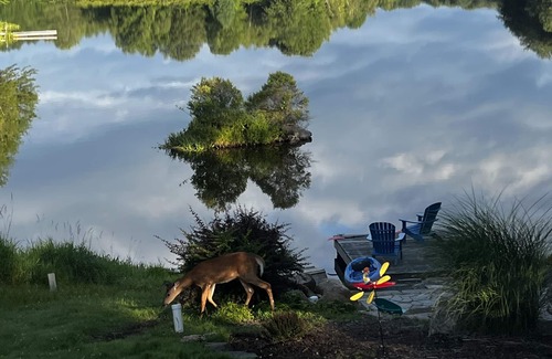 Pocono Lake Cottage | Vous cherchez de belles vues?