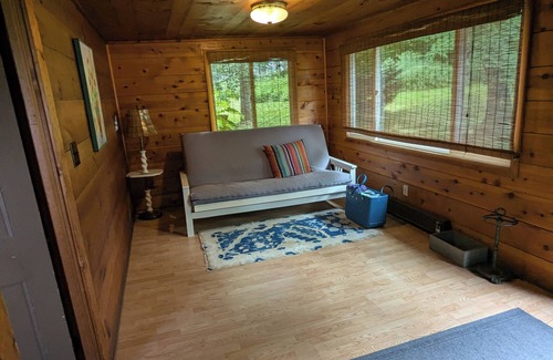 Conneaut Lake Cabine | Lakefront house with land dock