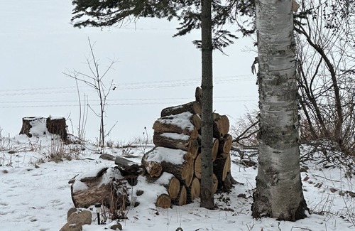 Moose Lake Cabine | Lakeshore family cabin retreat