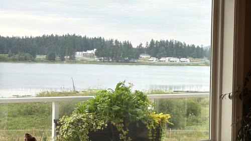 Regional District of Nanaimo Appartement | Lakeside Cottage