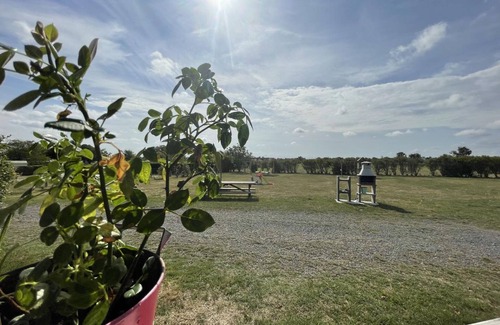 Pierrefitte-sur-Loire Cottage | Chalet au bord de l'eau, terrasse privée, pêche, baignade, nature et détente, animaux acceptés