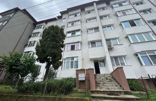 Calimanesti Appartement | Lala's sweet nest