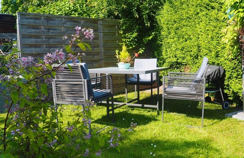 Rappin Appartement | Landferienwohnung Kornblume - Apartment Kornblume