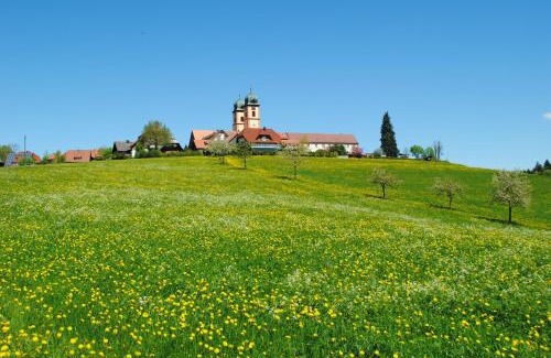 Sankt Maergen Appartement | Landhaus-Apartment Feldbergblick