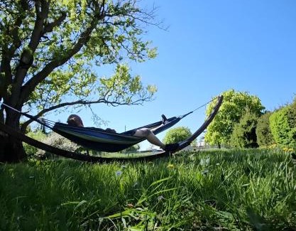 Wassersuppe Appartement | Landhaus Charlotte - Storchennest