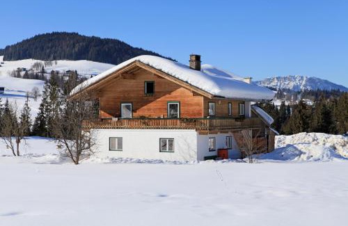 Hopfgarten im Brixental Appartement | Landhaus Hinterebenhub