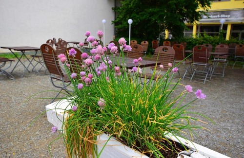 Grebenstein Hôtel | Landhotel Restaurant Deutsche Eiche