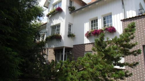Oelshausen Hôtel | Landhotel-Restaurant Schwalbennest