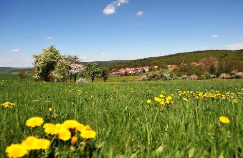 Bernshausen Hôtel | Landhotel Zur Grünen Kutte