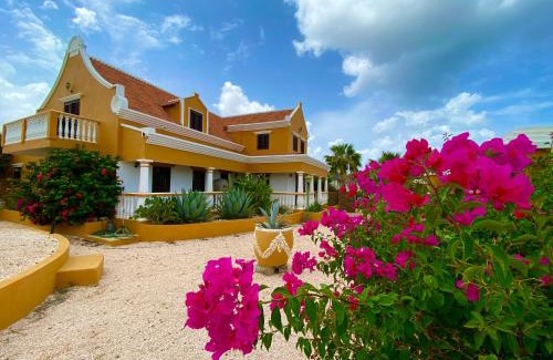 Belnem Lit Et Petit-Déjeuner | Landhuis Belnem Bonaire