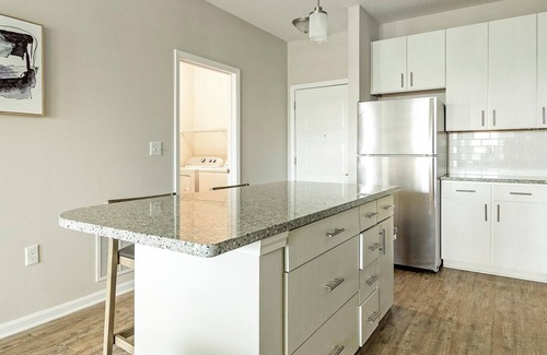 Land O' Lakes Appartement | Landing at Soltair Cypress Creek - 1 Bedroom in.