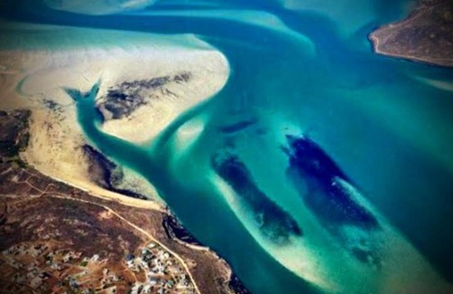 Langebaan Maison | Langebaan Guest House Near Mykonos and Beach