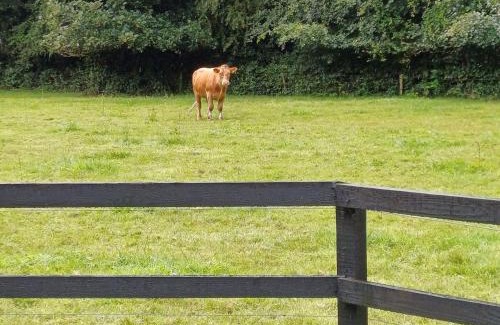 Kilcock Maison | Lara, Maynooth W23P9H6