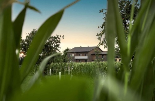 Simprechtshausen Maison | Large vacation home - edge of the village, fenced garden, fireplace, sauna. 5 dogs welcome!