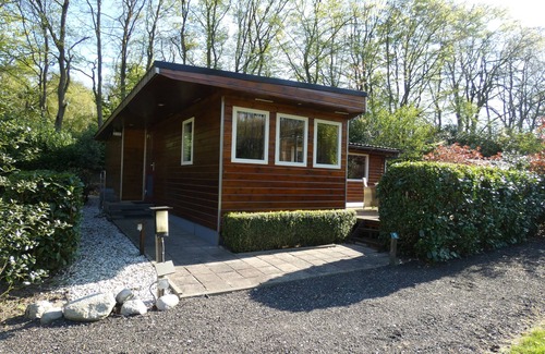 Marum Chalet De Ski | Large chalet for rent in wooded area on border Friesland, Groningen,Drenthe.