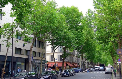 Quartier Sainte-Marguerite Appartement | Grand appartement de charme entre Bastille et le Marais