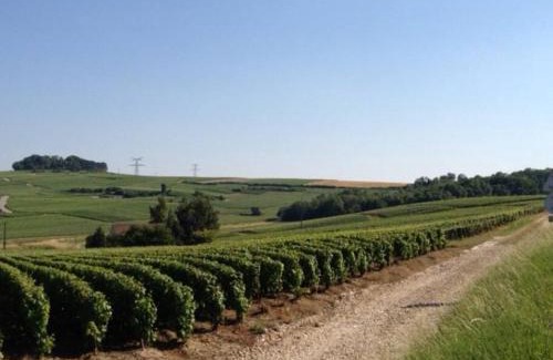 Baslieux-sous-Chatillon Maison | Large Country House in the heart of Champagne
