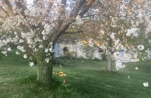 Ternay Maison | Grande maison familiale au cœur du pays de Ronsard