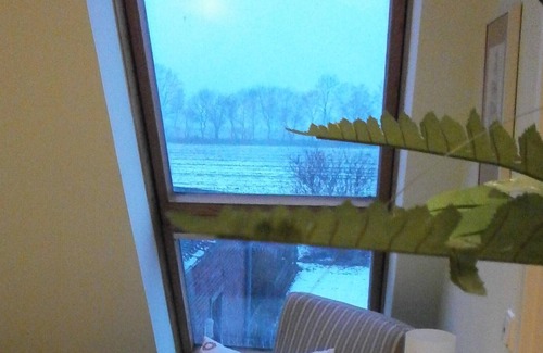 Bockhorn Maison | Profitez de l'air salé du nord!
