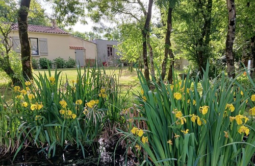 Saint-Vincent-sur-Graon Maison | Vaste Maison, piscine chauffée, pool house, située à proximité des plages.