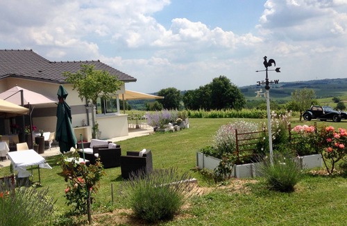 Loupiac Maison | GRANDE MAISON AVEC PISCINE AU MILIEU DES VIGNES