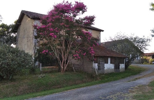 Saugnac-et-Cambran Autre | Large Landes house with swimming pool, very quiet, south of DAX