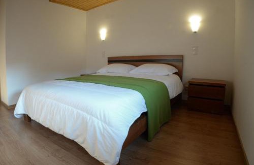 Codecoso Villa | Large Modern Villa in Celorico de Basto with Private Pool
