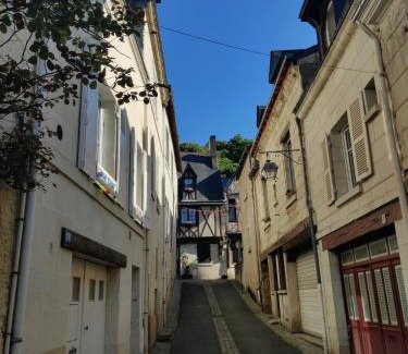 Chinon Appartement | Large new studio, charming and quiet, historical center