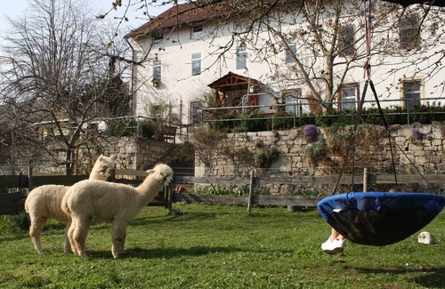 Zothen Appartement | Large, rustic apartment on a farm with a view of the castle