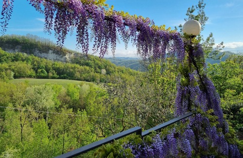 Cavatore Appartement | Large vacation apartment in Piedmont surrounded by nature