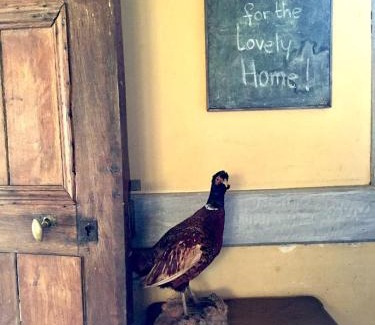 Bouvresse Maison | Large, welcoming house, full of character and charm