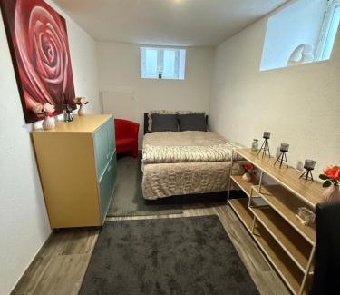 Huningue Appartement | Larkon
