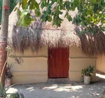 Rio Lagartos Maison | Las cabañas multumtab