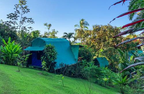 Drake Bay Cabine | Las Caletas Lodge