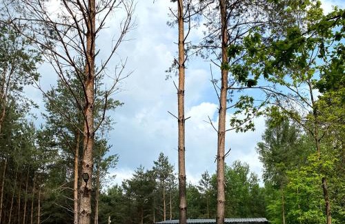 gmina Horyniec-Zdroj Appartement | "Las po pas" domki na Roztoczu - Horyniec-Zdrój