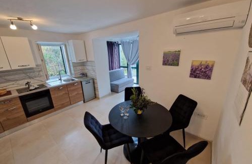 Zbicina Appartement | Lavanda apartman 1