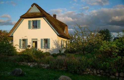 Insel Poel Maison | Lavendel