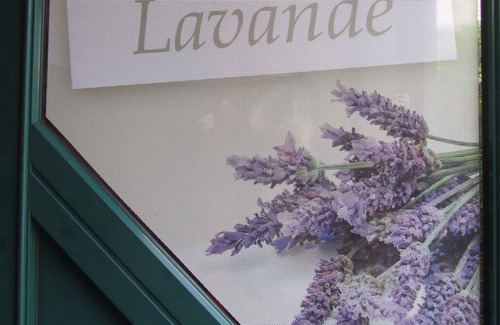 Thure Maison | Gîte Lavande, endroit magnifique !