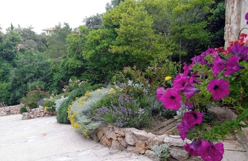 Stari Grad Villa | Lavender Hill Hvar