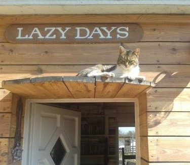 Debrecen Maison | Lazy Days