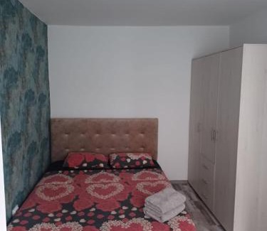 Suceava Appartement | LC Apartments George Enescu L3