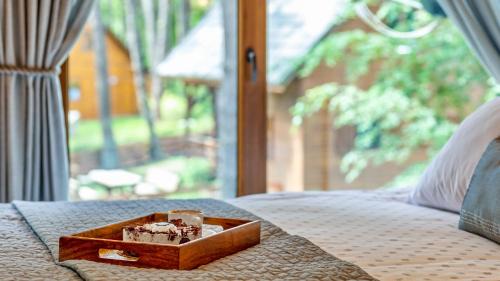 Ostroda Appartement | Leśna Oaza