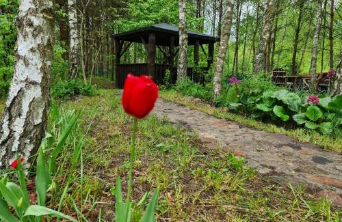 Warlubie Appartement | Leśny Zakątek Lipinki Bory Tucholskie - sauna