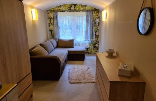 Warlubie Appartement | Leśny Zakątek Lipinki Bory Tucholskie - sauna