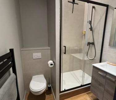 Centre Deux Appartement | Le 12 wifi cosy parking gratuit 09