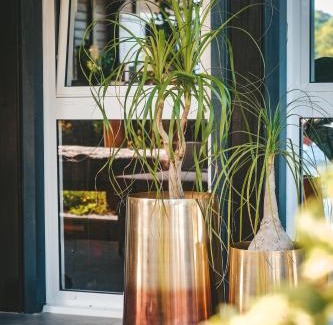 Le Lamentin Maison | Le Baobab Rouge - Maison d'hôtes réservée aux femmes