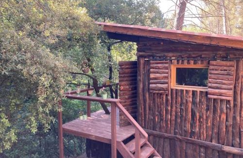 Nord Chalet De Ski | Le Cabanon d 'Aix