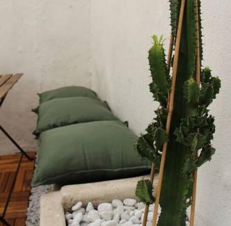 4th Arrondissement Appartement | Le Cactus - Appartement avec terrasse