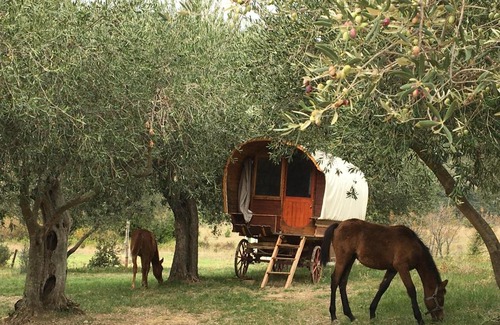 Cucugnan Autre | Le Camping de Cucugnan